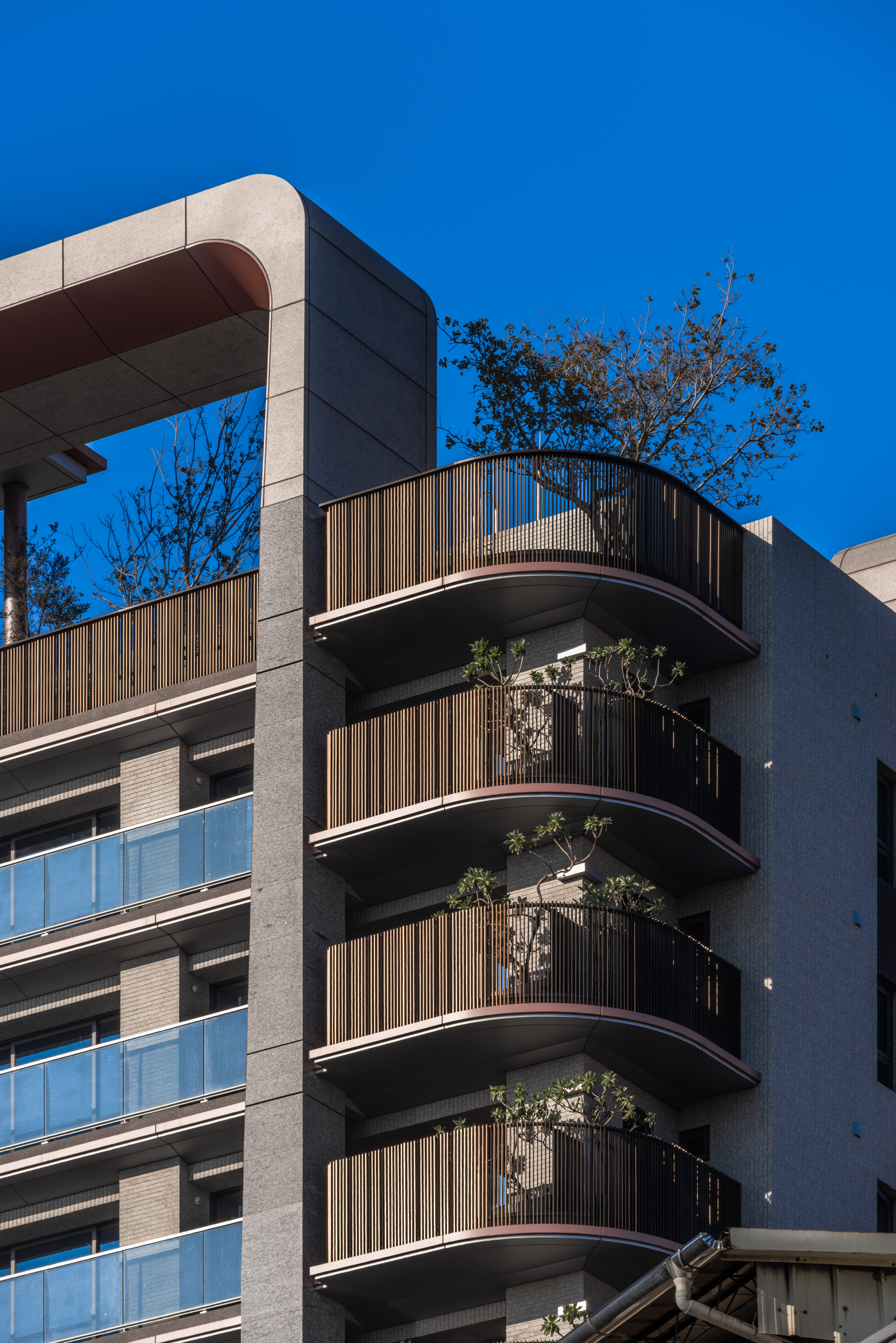 新案賞析 新案賞析